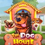 The Dog House
