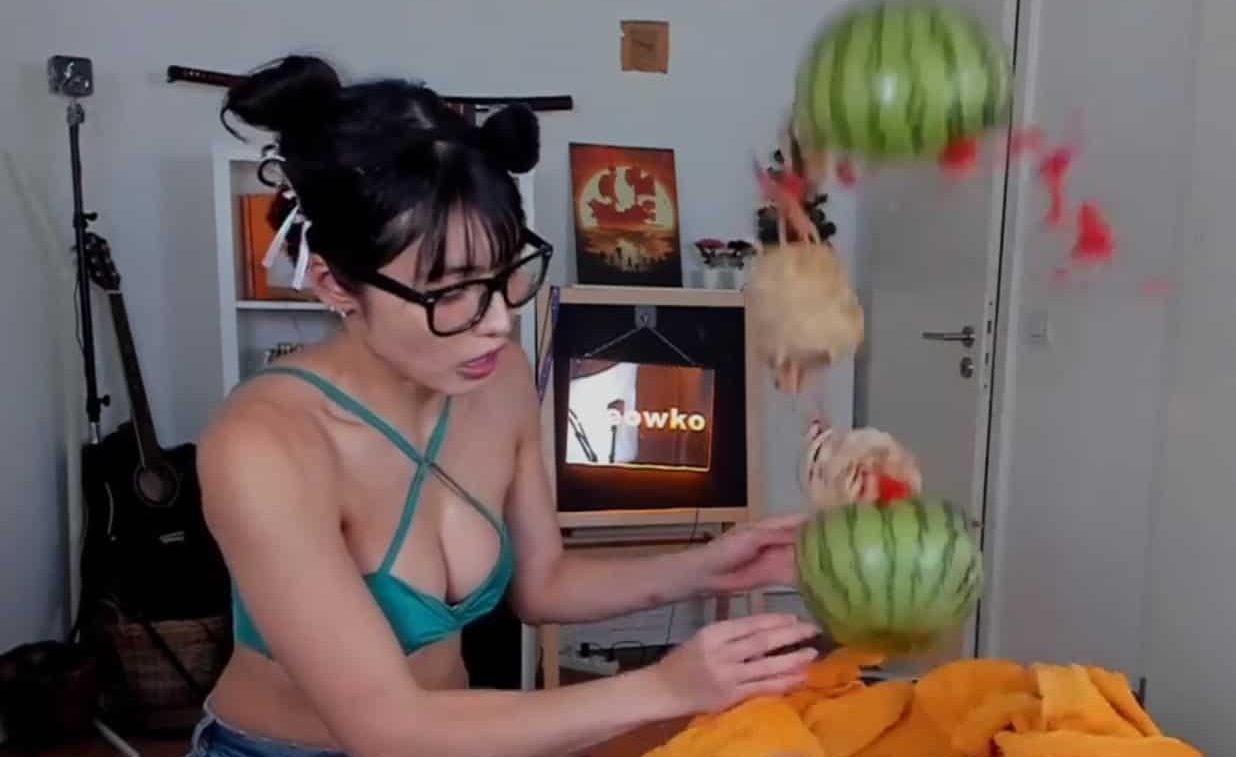Meowko Watermelon