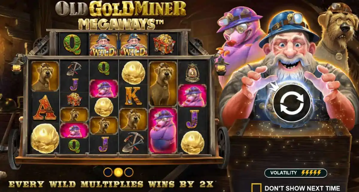 Neue Slots: Goldminer, Penalty Kick, Halloween Luck, Book of Cats