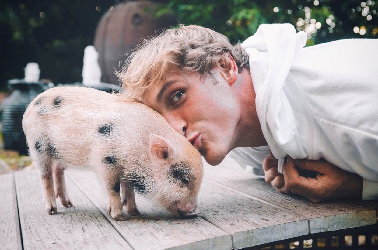 Logan Paul’s pet pig abandoned with “life-threatening” Illnesses?