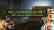 Online Casino Lapalingo Willkommensbonus
