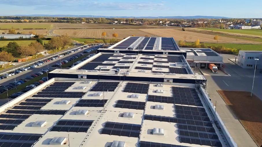 Novomatic plant Übernahme der Vikings aus Frankreich